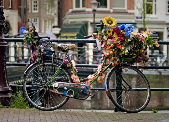 Auf Klassenfahrt mit HEROLÉ: geschmücktes Fahrrad in Amsterdam.