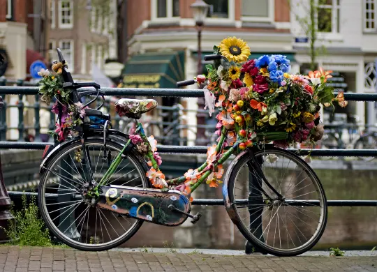Auf Klassenfahrt mit HEROLÉ: geschmücktes Fahrrad in Amsterdam.