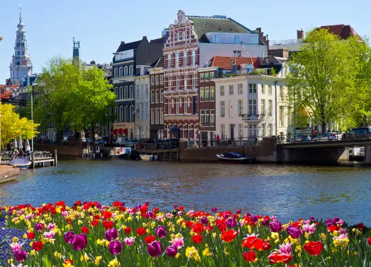 Grachten Blumen in Amsterdam Auf Klassenfahrt mit HEROLÉ: Die schönen Grachten mit Tulpen im Vordergrund in Amsterdam