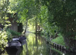 Auf Klassenfahrt mit HEROLÉ: Anlegestelle im Spreewald.
