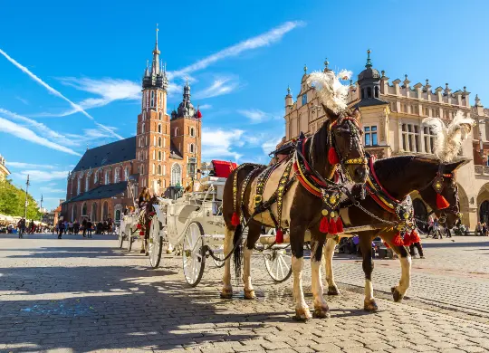Auf Klassenfahrt mit HEROLÉ: Pferdekutsche auf dem Hauptmarkt in Krakau.
