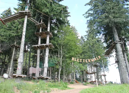 Auf Klassenfahrt mit HEROL&Eacute;: Kletterwald Feldberg im Schwarzwald.