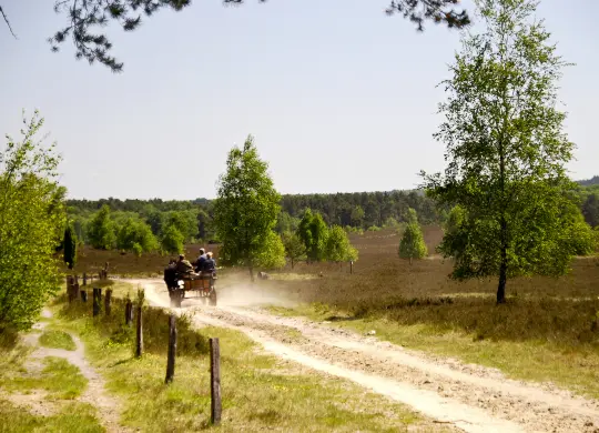 Auf Klassenfahrt mit HEROLÉ: Klassenfahrten in der Lüneburger Heide.