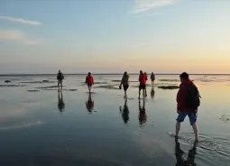 Auf Klassenfahrt mit HEROLÉ: Wattenmeer der Nordsee.
