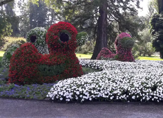 Auf Klassenfahrt mit HEROL&Eacute;: Blumeninsel Mainau am Bodensee.