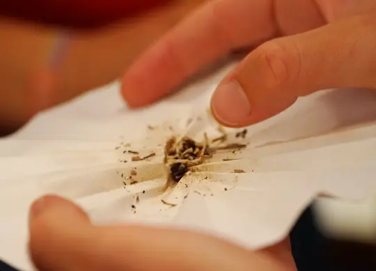 Makroplastik und weitere Elemente nach mehreren Filterstufen Auf Klassenfahrt mit HEROLÉ: Makroplastik und weitere Stoffe nach der Filterung.