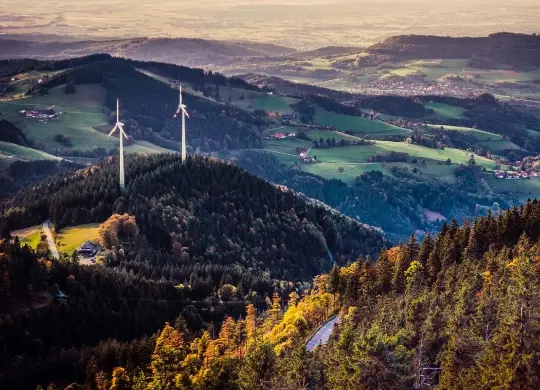 Auf Klassenfahrt mit HEROLÉ: Schwarzwald - Blick vom Berg Schauinsland