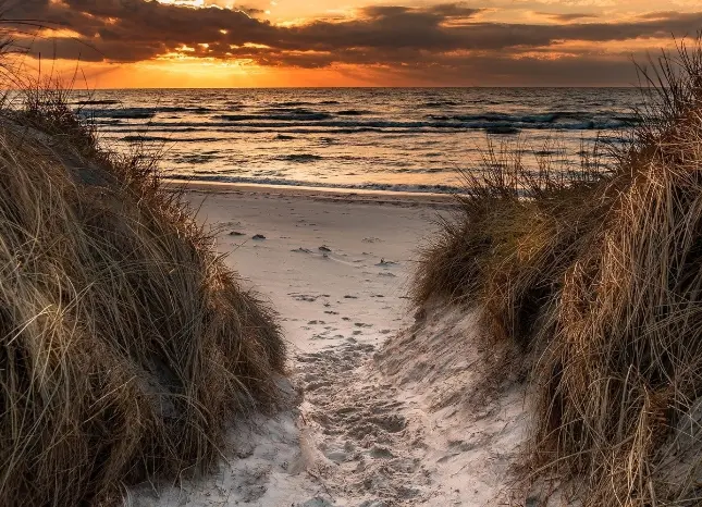 Auf Klassenfahrt mit HEROLÉ: Dünen zum Strand an der Ostsee in Mecklenburg-Vorpommern.