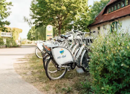 Auf Klassenfahrt mit HEROLÉ: Leihfahrräder der Jugendherberge Mirow, Mecklenburger Seen