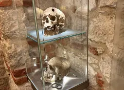 Auf Klassenfahrt mit HEROLÉ: Totenköpfe im Museum unter dem Marktplatz Krakau