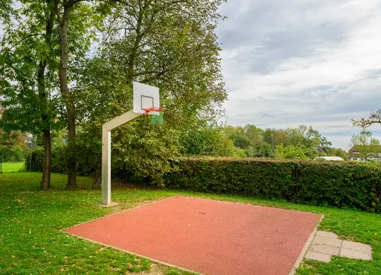 Auf Klassenfahrt mit HEROLÉ: Basketball in der Jugendherberge Konstanz am Bodensee