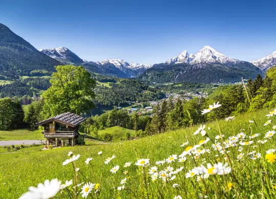 Auf Klassenfahrt mit HEROLÉ: Alm im Allgäu