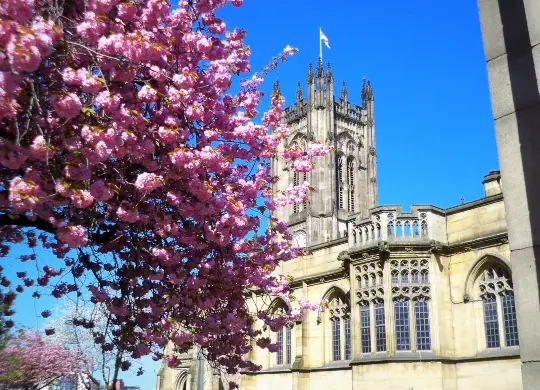 Auf Klassenfahrt mit HEROL&Eacute;: Besuchen Sie auch die einzigartige Kathedrale in Manchester