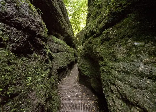 Auf Klassenfahrt mit HEROLÉ: Drachenschlucht südlich von Eisenach