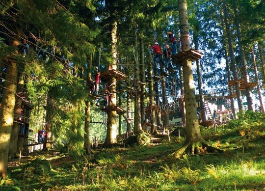 Klassenfahrten Allgäu - Hochseilgarten Kletterwald Bärenfalle Klassenfahrten Allgäu - Jugendliche klettern im Hochseilgarten Kletterwald Bärenfalle