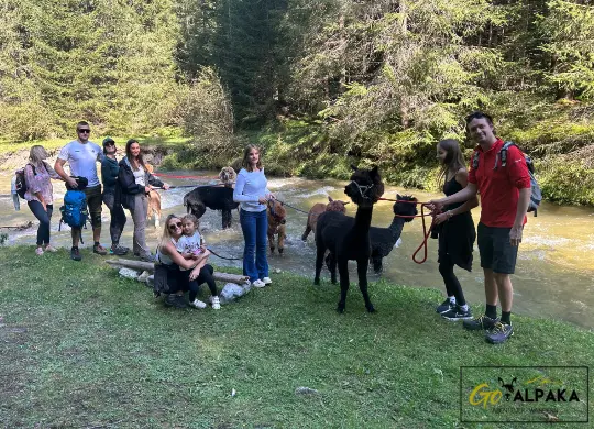 Auf Klassenfahrt mit HEROLÉ: Alpaka-Wanderung im Salzburger Land