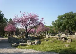 Auf Klassenfahrt mit HEROLÉ: Blick auf Olympia in Athen.