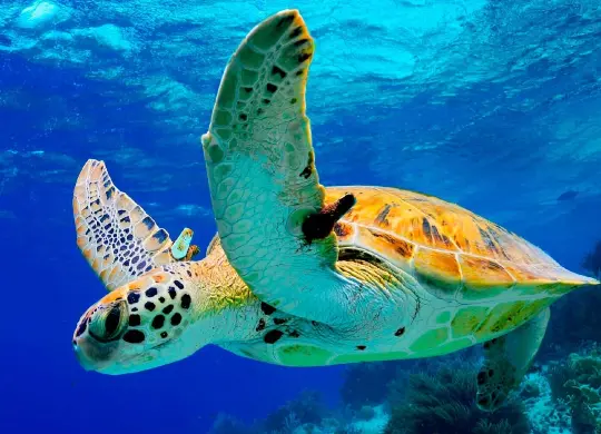 Auf Klassenfahrt mit HEROLÉ: Barcelona Besuch und Workshop in der CRAM Foundation