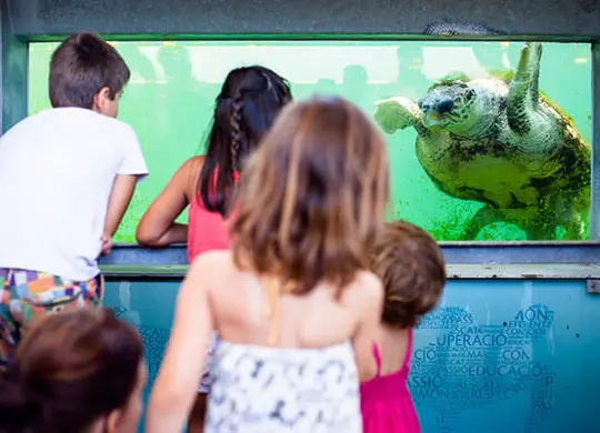 Auf Klassenfahrt mit HEROLÉ: Barcelona Besuch und Workshop in der CRAM Foundation