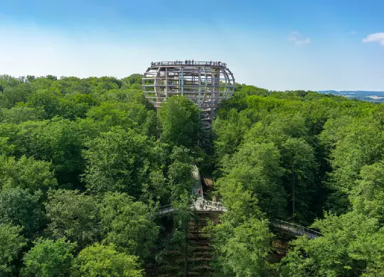 Auf Klassenfahrt mit HEROLÉ: Weitblick vom Baumwipfelpfad des Naturerbe Zentrum auf der Insel Rügen