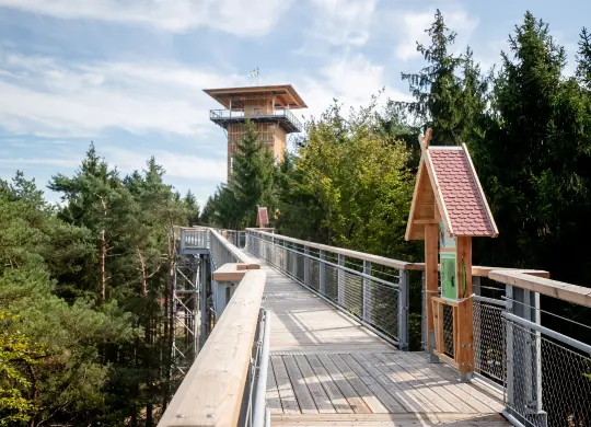 Auf Klassenfahrt mit HEROLÉ: Besuchen Sie den Baumwipfelpfad Heide Himmel in der Lüneburger Heide.