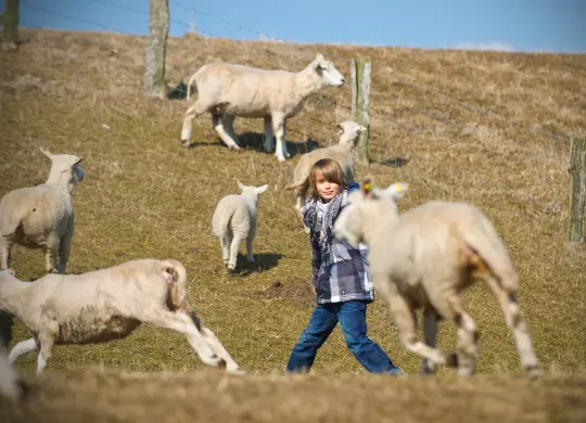 Auf Klassenfahrt mit HEROLÉ: BNE Führung auf dem Gut Darß / Ostsee