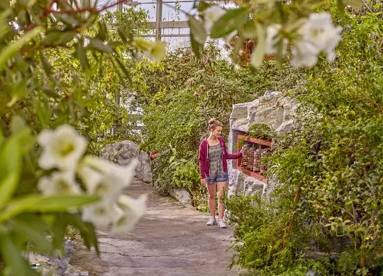 Auf Klassenfahrt mit HEROLÉ: Botanika in Bremen