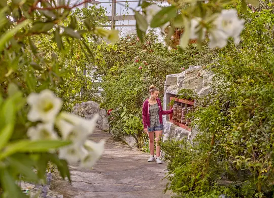 Auf Klassenfahrt mit HEROLÉ: Botanika in Bremen Gewächshaus
