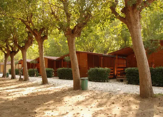 Auf Klassenfahrt mit HEROLÉ: Bungalowbeispiel Camping Europa in Torre del Lago / Toskana