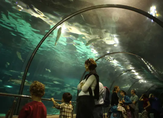 CosmoCaixa in Barcelona Auf Klassenfahrt mit HEROLÉ: CosmoCaixa in Barcelona.
