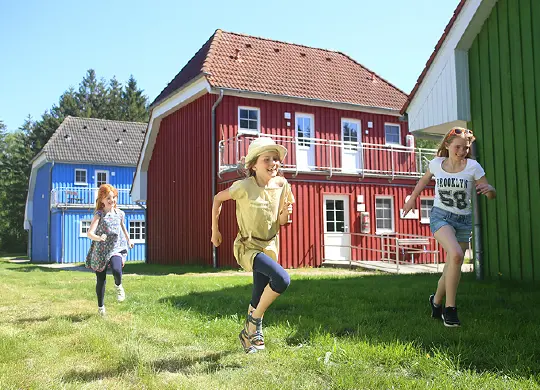 Darß - Bungalows der Jugendherberge Born-Ibenhorst Auf Klassenfahrt mit HEROLÉ: bunte Bungalowhäuser der Jugendherberge Born-Ibenhorst auf dem Darß