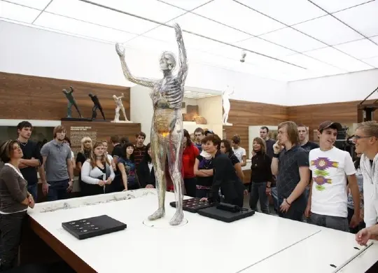 Auf Klassenfahrt mit HEROLÉ: Blick auf das Exponat "Die Gläserne Frau" in Dresden