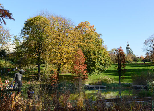 Im Grugapark Essen erleben Schulklassen Natur und Freizeitspaß in grüner Umgebung