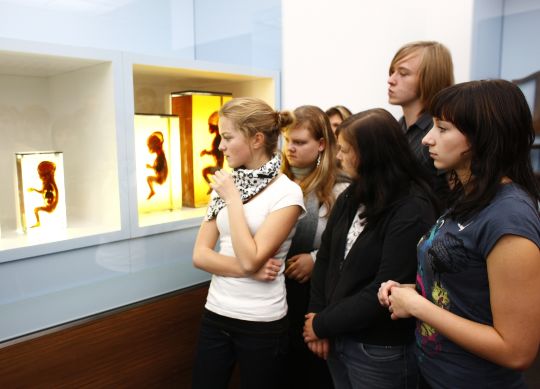 Jugendliche bei einem Besuch im Deutschen- Hygiene- Museum in Dresden Auf Klassenfahrt mit HEROLÉ: Besuchen Sie auch die Ausstellungen des Deutschen- Hygiene- Museums in Dresden