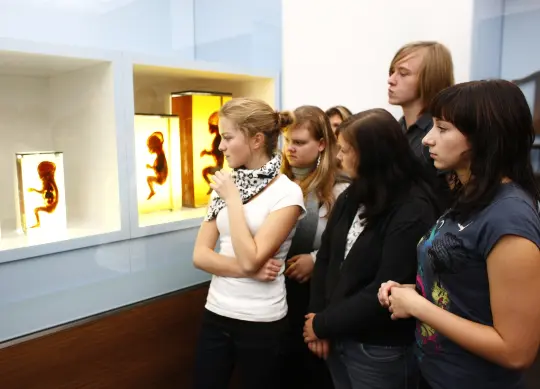 Jugendliche bei einem Besuch im Deutschen- Hygiene- Museum in Dresden Auf Klassenfahrt mit HEROLÉ: Besuchen Sie auch die Ausstellungen des Deutschen- Hygiene- Museums in Dresden