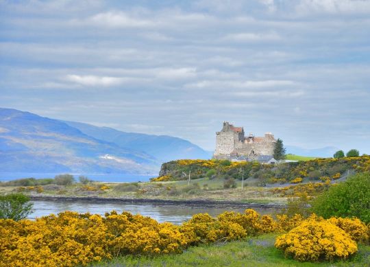 Duart Castle auf der Isle of Mull in Schottland Auf Klassenfahrt mit HEROLÉ: Das Duart Castle am Ostufer der Isle of Mull in Schottland