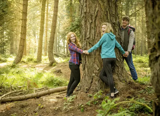 Auf Klassenfahrt mit HEROLÉ: Genießen Sie ein Stück Natur im Wald "The Scalpe" bei Dublin