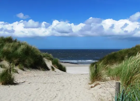 Auf Klassenfahrt mit HEROLÉ: Dünen auf Ameland an der Niederländischen Nordseeküste