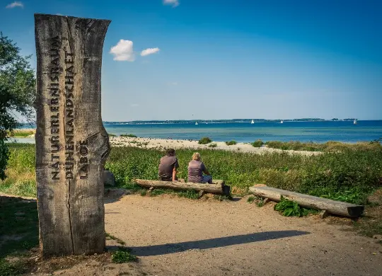 Auf Klassenfahrt mit HEROLÉ: Dünenlandschaft in Laboe bei Kiel