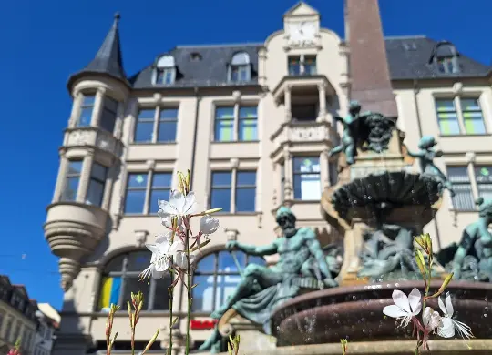 Auf Klassenfahrt mit HEROLÉ: Erfurter Altstadt