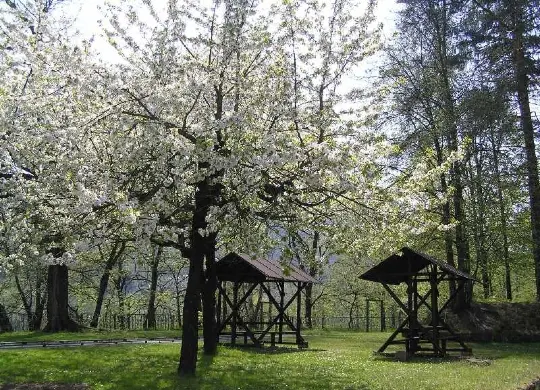 Auf Klassenfahrt mit HEROLÉ: Sächsische Schweiz Familienoase Königstein - Garten zur Kirchblüte