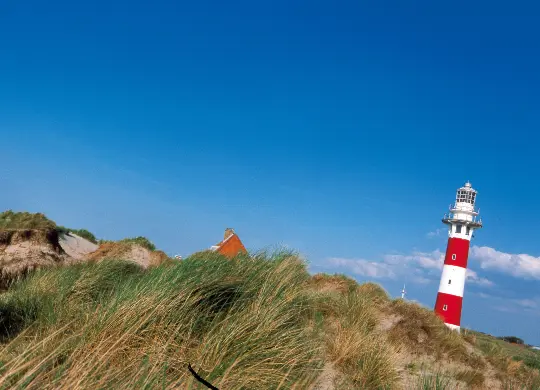 Auf Klassenfahrt mit HEROLÉ: Dünen am Strand an der flämischen Nordsee.
