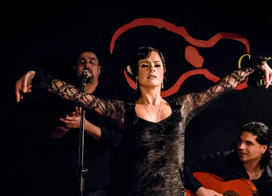 Auf Klassenfahrt mit HEROLÉ: Flamencoshow in Madrid.