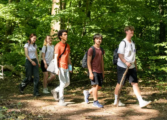 Waldspaziergang Auf Klassenfahrt mit HEROLÉ: Gemeinsam die Natur entdecken