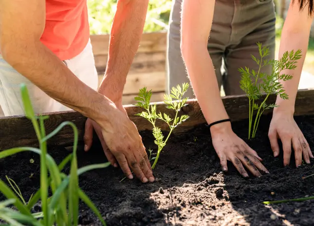 Auf Klassenfahrt mit HEROL&Eacute;: &Ouml;kologischen Anbau hautnah erleben