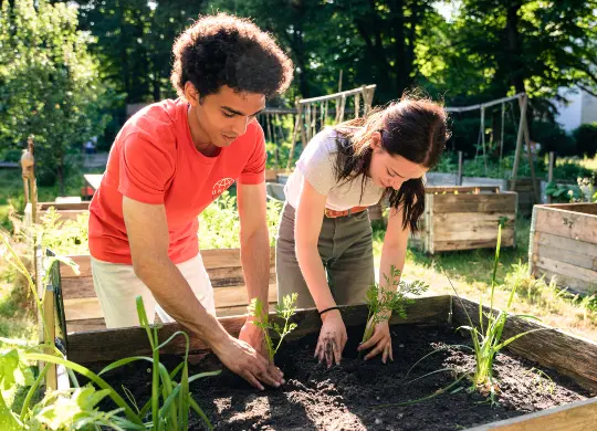 Auf Klassenfahrt mit HEROL&Eacute;: Nutzpflanzen im Gemeinschaftsgarten anbauen