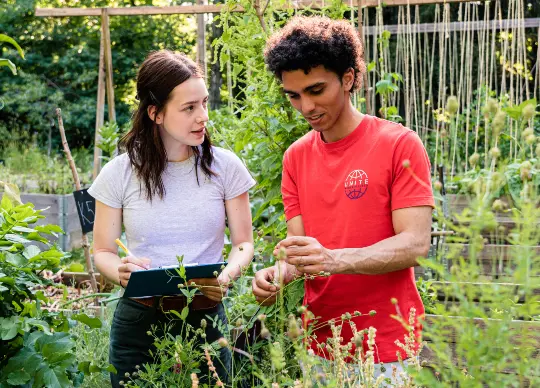 Pflanzen entdecken Auf Klassenfahrt mit HEROLÉ: Die Welt der Heilpflanzen & -Kräuter erleben