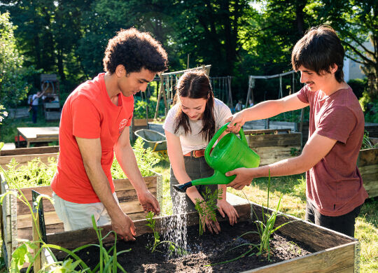 Auf Klassenfahrt mit HEROLÉ: Gemeinsam lokalen und ökologischen Anbau von Nutzpflanzen erleben