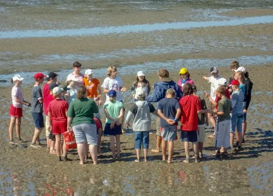 Auf Klassenfahrt mit HEROLÉ: Eine Schülergruppe bei einer geführten Wattwanderung an der Nordsee.