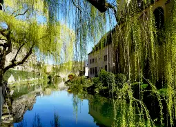 Auf Klassenfahrt mit HEROLÉ: Grund mit herrlichen grünen Bäumen am Wasser in Luxembourg